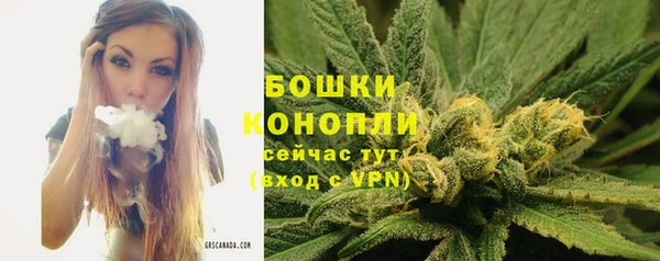 каннабис Беломорск
